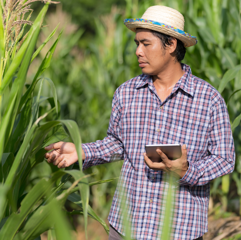 Happy Farmer